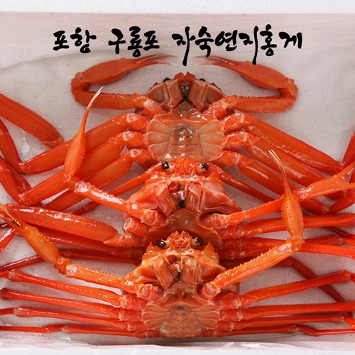 구룡포 연지 홍게 3kg 육수용 (업체별도 무료배송)