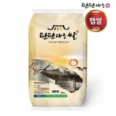 [23년산] 농협안심 탄탄대로쌀 10kg/ 당일도정(상등급)  백미ㅣ맛좋은 브랜드쌀 (업체별도 무료배송)