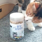 [버디펫] 강아지 고양이 유산균 퐁당 토핑트릿 35g (업체별도 무료배송)
