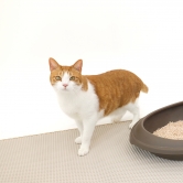 [디토펫] 고양이 화장실 모래매트 벌집구조 베이지 특대형 90 x 60 cm (업체별도 무료배송)