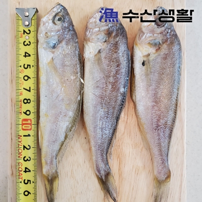 [수산생활] 국내산 반건조 참조기 1kg (20미내외, 중량우선) (업체별도 무료배송)