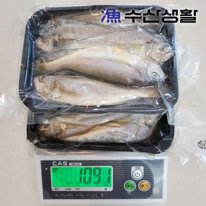 [수산생활] 국내산 반건조 참조기 1kg (20미내외, 중량우선) (업체별도 무료배송)