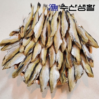[수산생활] 황금사이즈 노가리 500g (10미내외) (업체별도 무료배송)