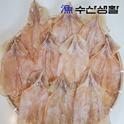 [수산생활] 칼집 몸통 마른 오징어 350g~450g(10미 내외) 중량우선 (업체별도 무료배송)