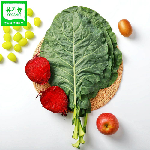 유기농 무농약 즙용 케일/신선초 1kg 외 (업체별도 무료배송)