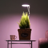[노바리빙] 잎파랑 프리미엄 LED 식물등 엔젤/페어리 (업체별도 무료배송)