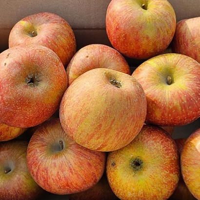[못생겨도 괜찮아] 부사 사과 가정용 b품 1kg~10kg (업체별도 무료배송)