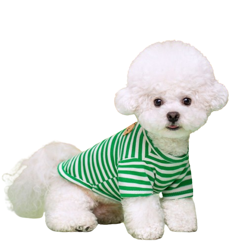 반려동물 강아지 베어패치 티셔츠 (2장이상 구매가능) (업체별도 무료배송)