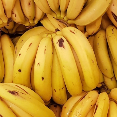 달콤 든든한 고당도 바나나 1송이 1kg 내외 (업체별도 무료배송)