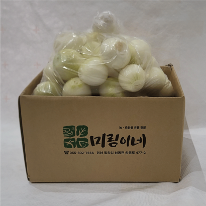 [산지직송] 편리하게 사용하는 24년 조생종 햇 깐양파 2kg/4kg/7kg(업체별도 무료배송)