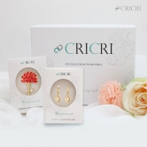[CRICRI] 크리스탈 카네이션 브로치+14K 골드핀 귀걸이 선물세트 5종 택1 (업체별도 무료배송)