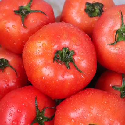 과육은 단단하고 맛은 달달한 완숙 토마토 2kg(8-14과) (업체별도 무료배송)