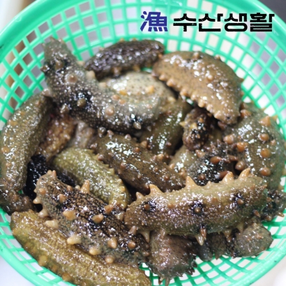 [수산생활] 거제도 해녀가 잡은 자연산 활 해삼 500g~1kg (업체별도 무료배송)