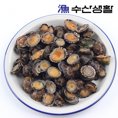 [수산생활] 녹진하고 고소한 자연산 활 배말 500g~1kg (업체별도 무료배송)