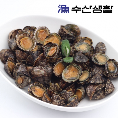 [수산생활] 녹진하고 고소한 자연산 활 배말 500g~1kg (업체별도 무료배송)