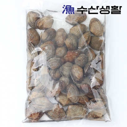 [수산생활] 쫄깃한 거제도 자연산 활 바지락 1kg (업체별도 무료배송)