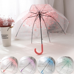 체리블러썸 장우산 벚꽃 투명 자동우산 (2개이상 구매가능) (업체별도 무료배송)