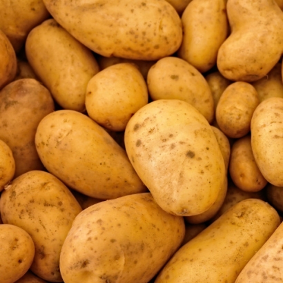 [산지직송] 24년 국산 햇 감자 2kg/3kg (업체별도 무료배송)