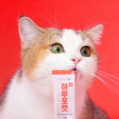 [리스펫] 고양이 하루포캣 신장 영양제 (12개입/30개입 택1) (업체별도 무료배송)