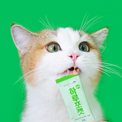 [리스펫] 고양이 하루포캣 헤어볼 케어 영양제 10g*30개입 (업체별도 무료배송)