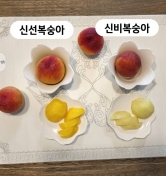 과즙 팡팡! 경북 신선,신비 복숭아 1kg/2kg (업체별도 무료배송)