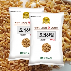 풍부한 식이섬유! 슈퍼곡물 호라산밀 800g x 2팩 카뮤트 쌀 고대원시곡물 (업체별도 무료배송)